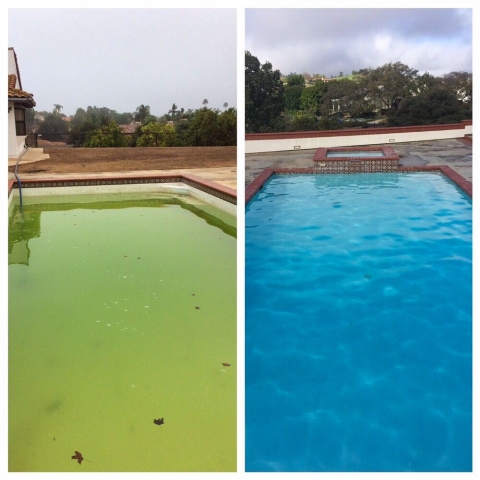 Before & After, Pool Clean, Phenomepool, Pool Service